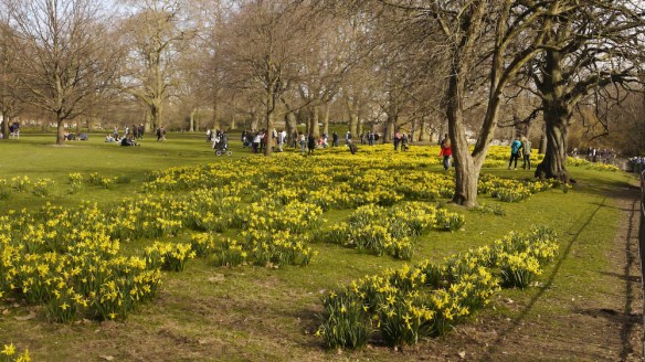 Spring in the park 